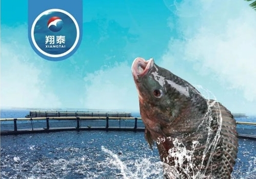 翔泰漁業(yè)深耕【海南鯛】近二十年，堅持高品質(zhì)水產(chǎn)品穩(wěn)定供應(yīng)，不斷創(chuàng)新研發(fā)產(chǎn)品以滿足不同市場需求！