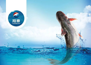 繼金鯧魚、海南鯛之后！翔泰漁業(yè)全力打造第三條精品魚【海南巴沙魚】