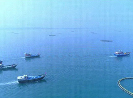 首批漁獲——翔泰2023金鯧魚(yú)全面開(kāi)捕，從南海到餐桌，全程可追溯！